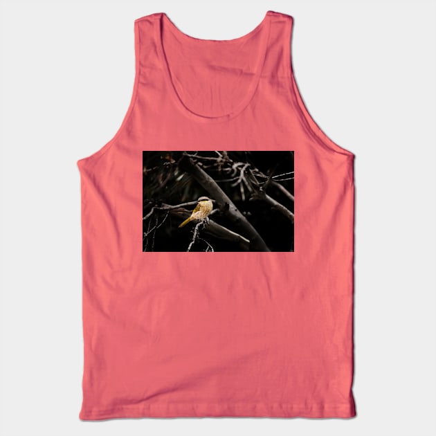 Singing Honeyeater_VOA8137 Tank Top by seadogprints